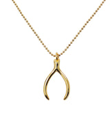 Wishbone Pendant Necklace Silver, Wishbone Good Luck Charm 